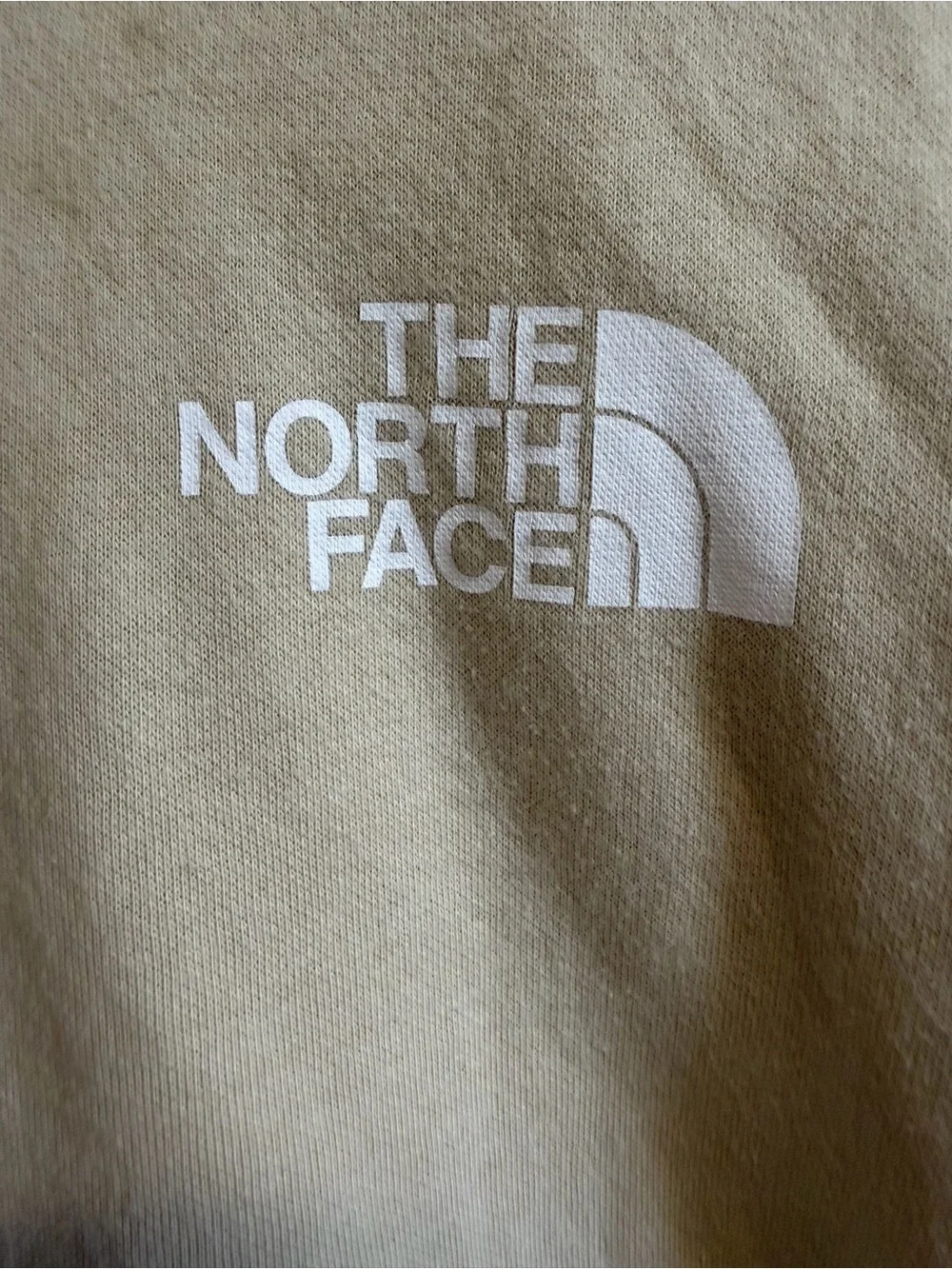The North Face Hoodie Mens Large Beige Half Dome Back Logo Pullover Gorpcore